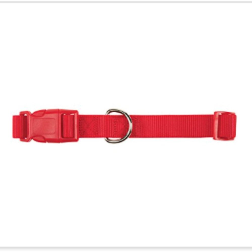 Zack & Zoey 1" Nylon Pet Collar